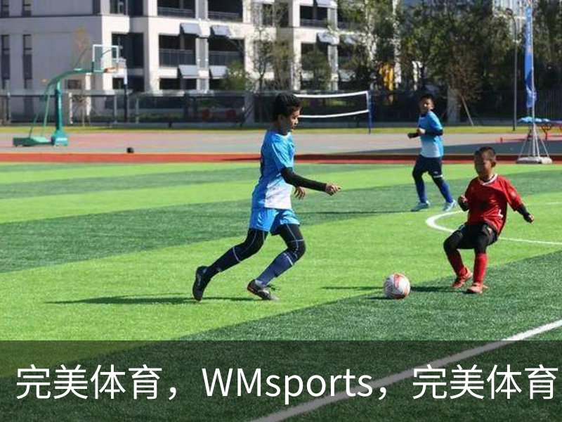 走进完美体育，WMsports，完美体育官方，完美体育平台，完美体育下载